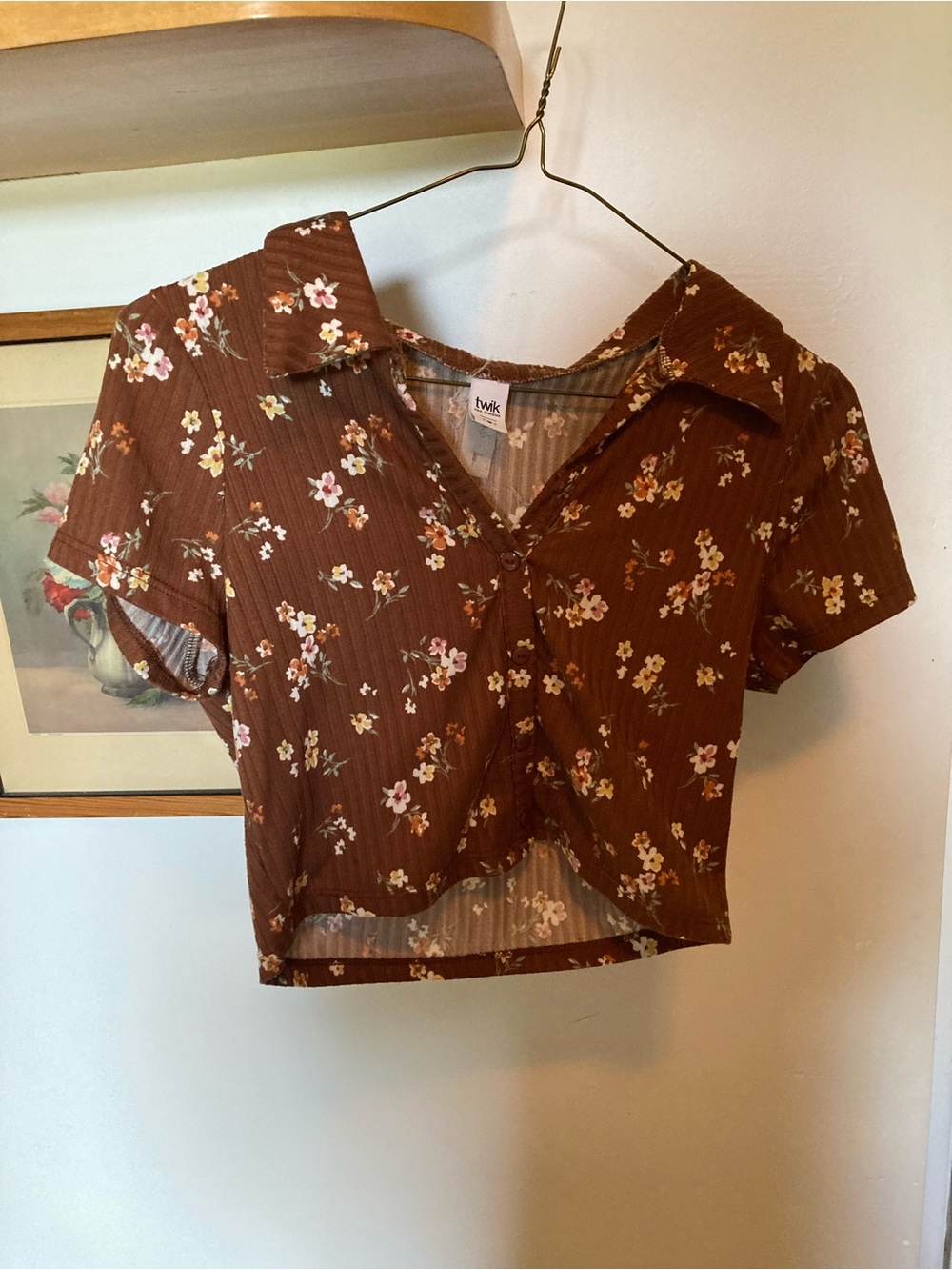 Brown Floral Collared Short-Sleeve Crop Top